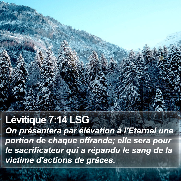 Lévitique 7:14 LSG Bible Study