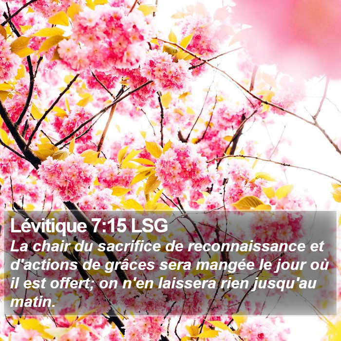 Lévitique 7:15 LSG Bible Study