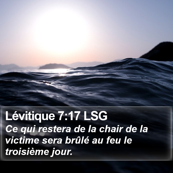 Lévitique 7:17 LSG Bible Study