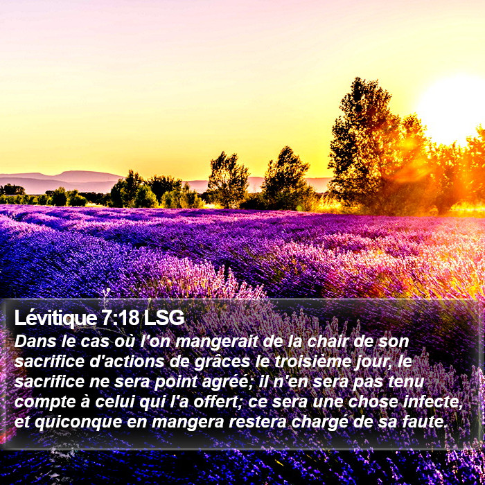 Lévitique 7:18 LSG Bible Study