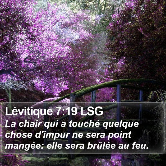 Lévitique 7:19 LSG Bible Study