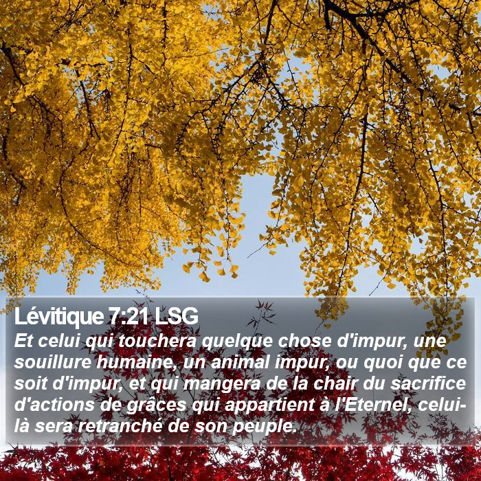 Lévitique 7:21 LSG Bible Study