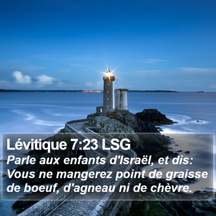 Lévitique 7:23 LSG Bible Study