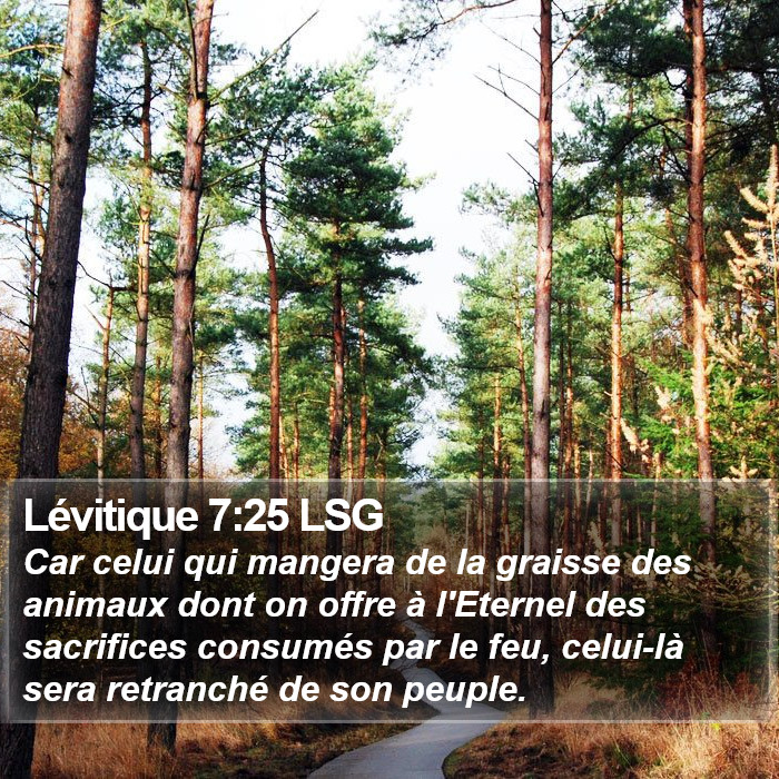 Lévitique 7:25 LSG Bible Study