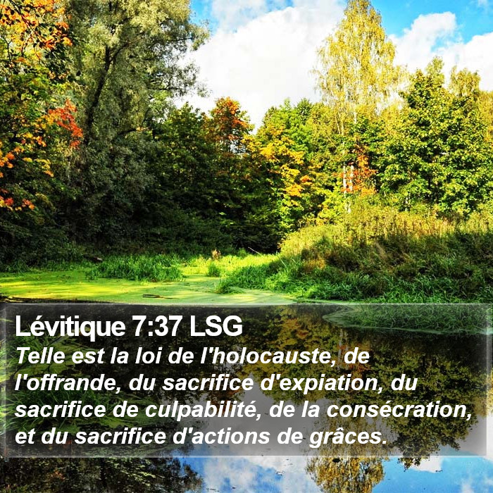 Lévitique 7:37 LSG Bible Study