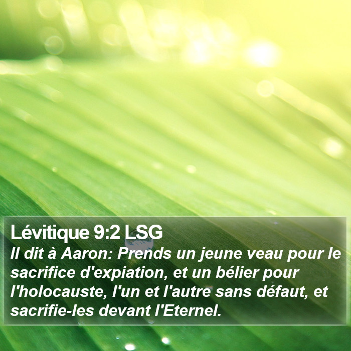 Lévitique 9:2 LSG Bible Study