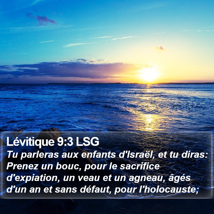 Lévitique 9:3 LSG Bible Study