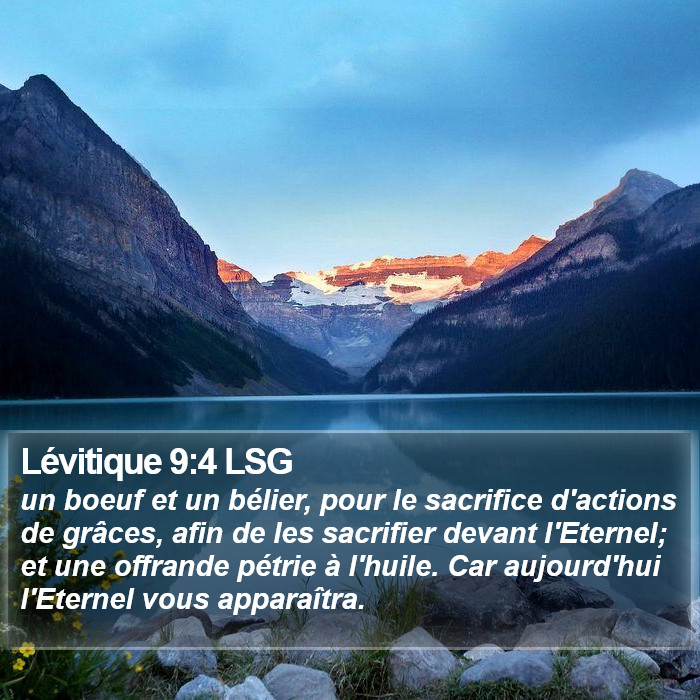Lévitique 9:4 LSG Bible Study