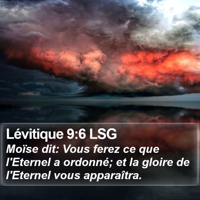 Lévitique 9:6 LSG Bible Study