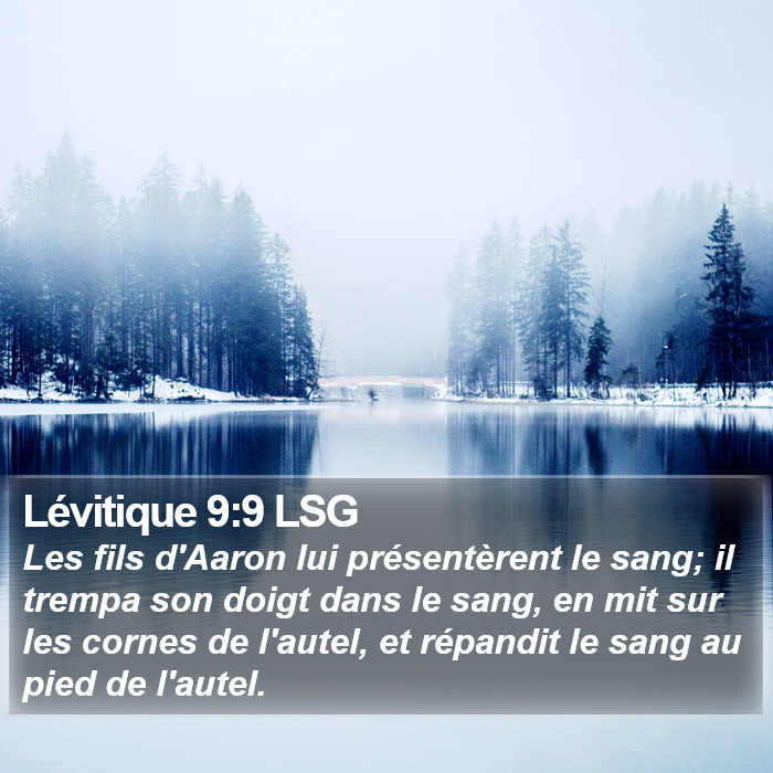 Lévitique 9:9 LSG Bible Study