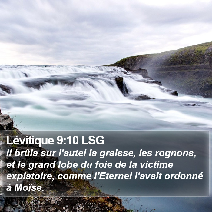 Lévitique 9:10 LSG Bible Study
