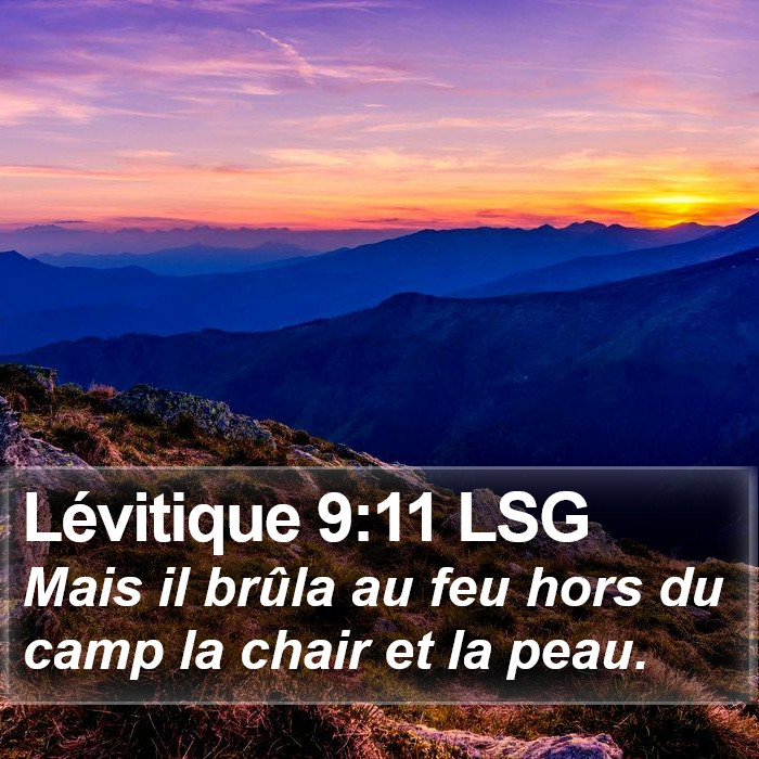 Lévitique 9:11 LSG Bible Study