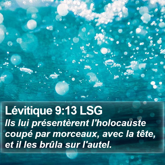 Lévitique 9:13 LSG Bible Study