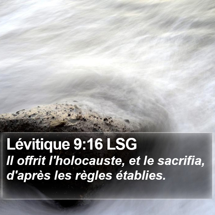 Lévitique 9:16 LSG Bible Study