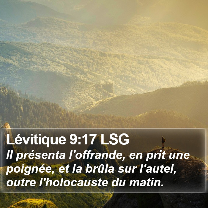 Lévitique 9:17 LSG Bible Study