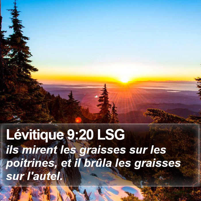 Lévitique 9:20 LSG Bible Study