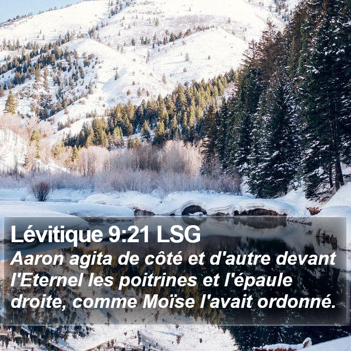 Lévitique 9:21 LSG Bible Study