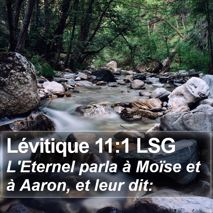 Lévitique 11:1 LSG Bible Study