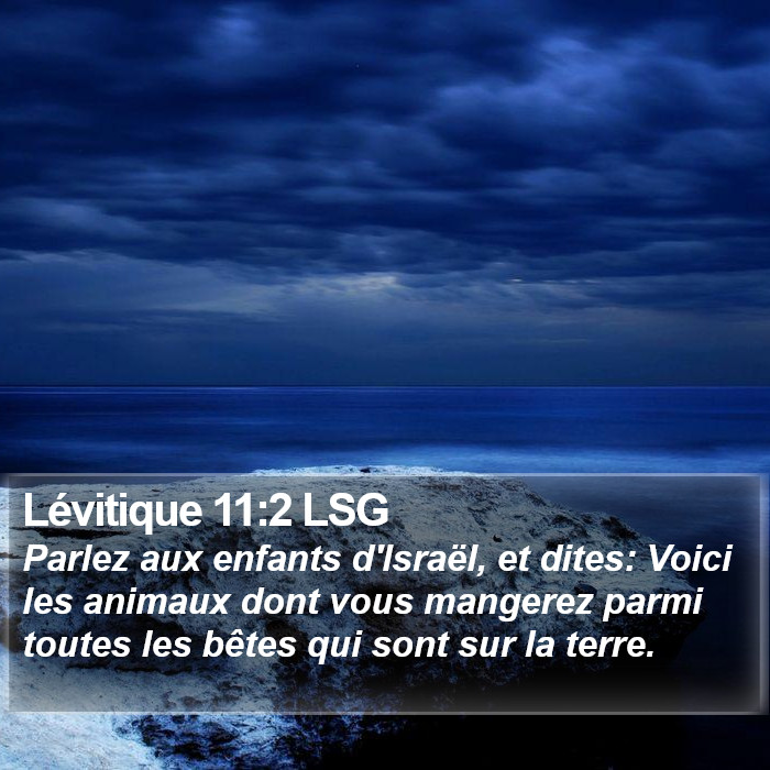 Lévitique 11:2 LSG Bible Study