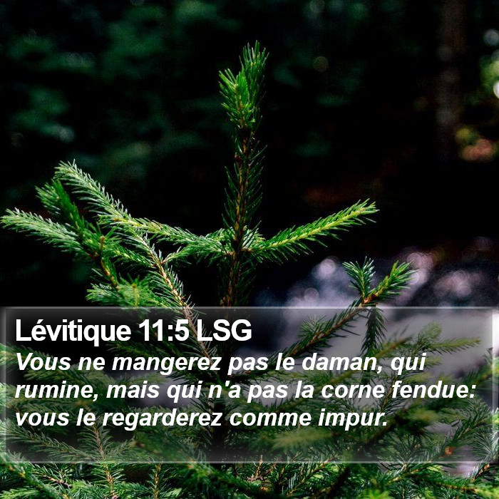 Lévitique 11:5 LSG Bible Study