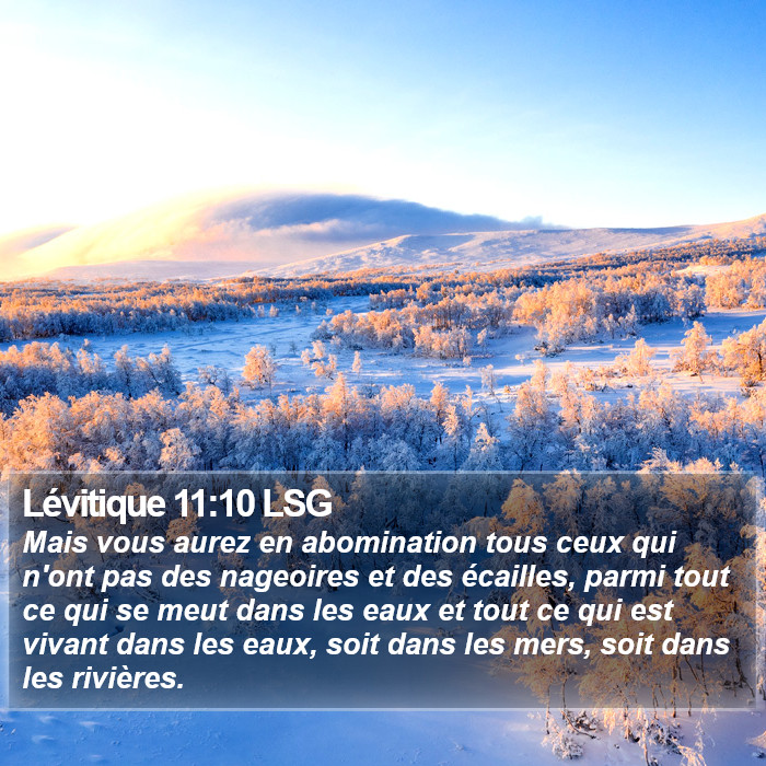 Lévitique 11:10 LSG Bible Study