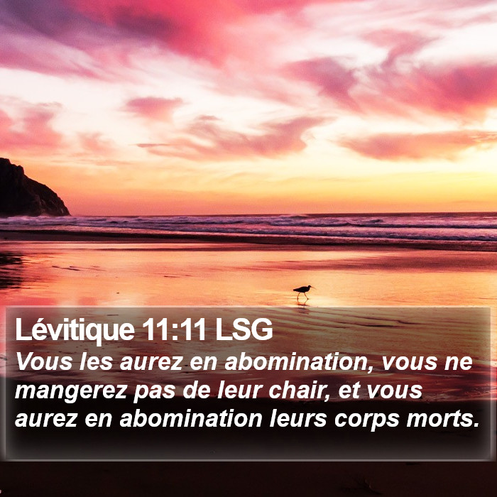 Lévitique 11:11 LSG Bible Study