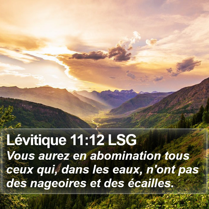 Lévitique 11:12 LSG Bible Study