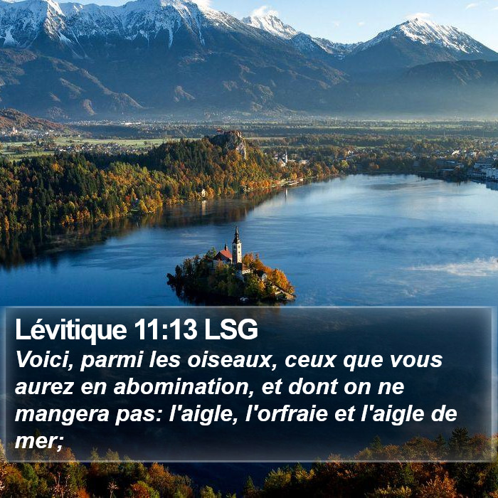 Lévitique 11:13 LSG Bible Study
