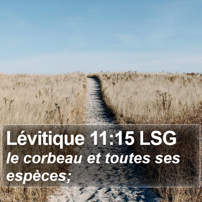 Lévitique 11:15 LSG Bible Study