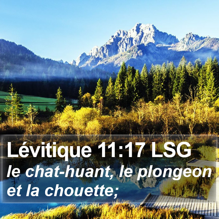 Lévitique 11:17 LSG Bible Study
