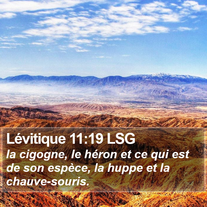 Lévitique 11:19 LSG Bible Study