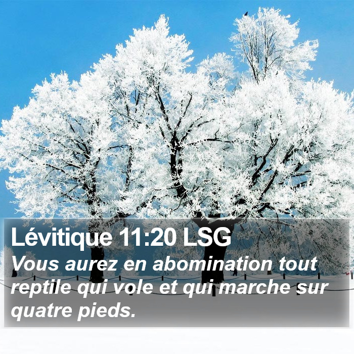 Lévitique 11:20 LSG Bible Study
