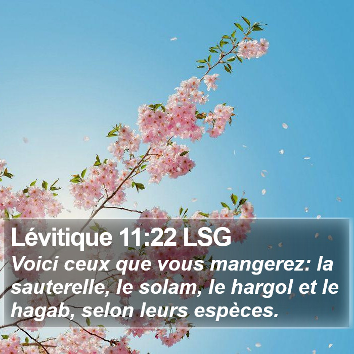 Lévitique 11:22 LSG Bible Study