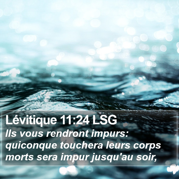 Lévitique 11:24 LSG Bible Study