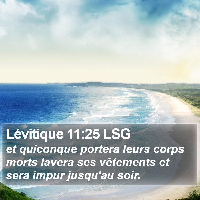Lévitique 11:25 LSG Bible Study