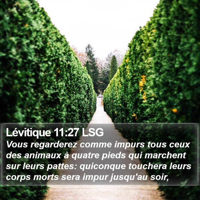 Lévitique 11:27 LSG Bible Study