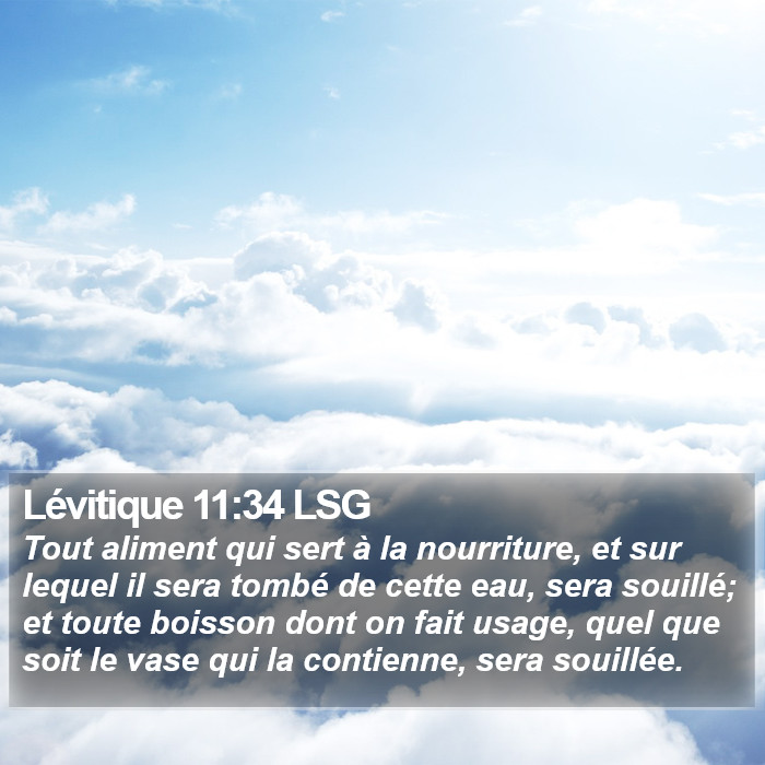 Lévitique 11:34 LSG Bible Study