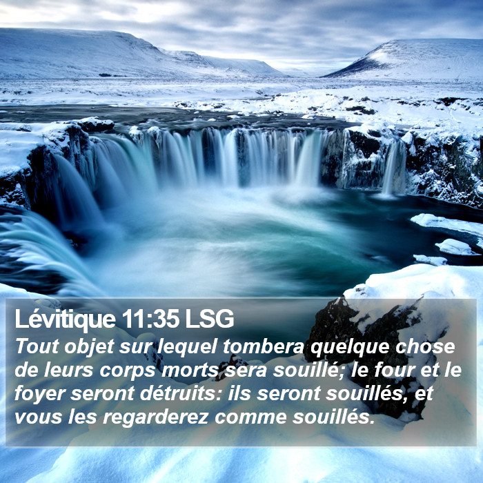 Lévitique 11:35 LSG Bible Study