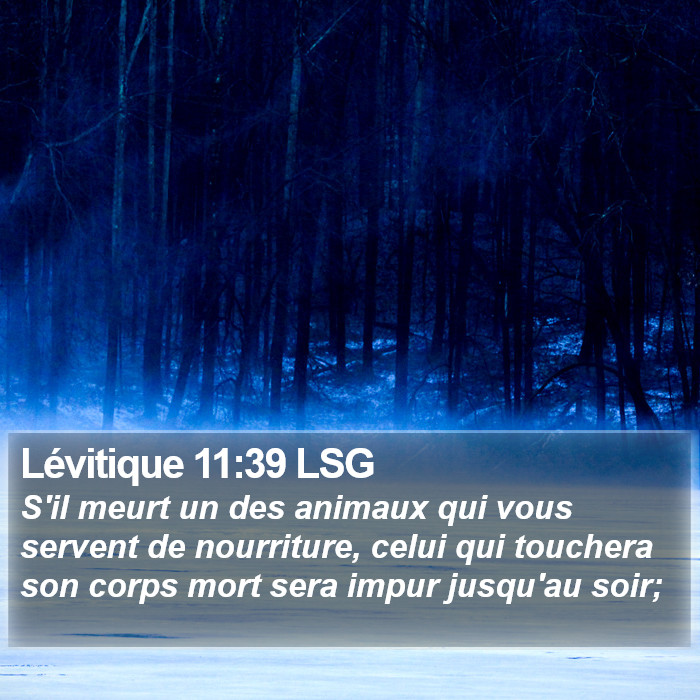 Lévitique 11:39 LSG Bible Study