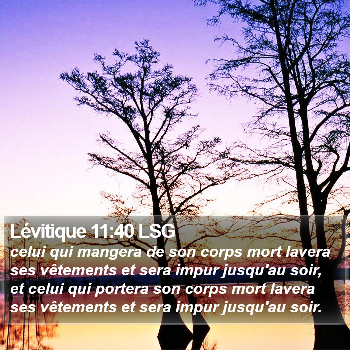 Lévitique 11:40 LSG Bible Study