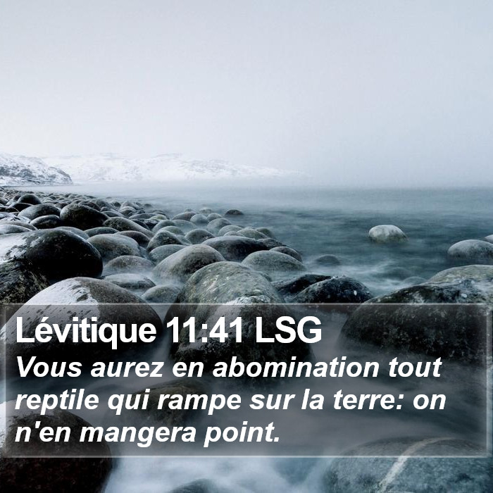 Lévitique 11:41 LSG Bible Study