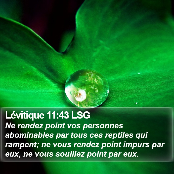 Lévitique 11:43 LSG Bible Study