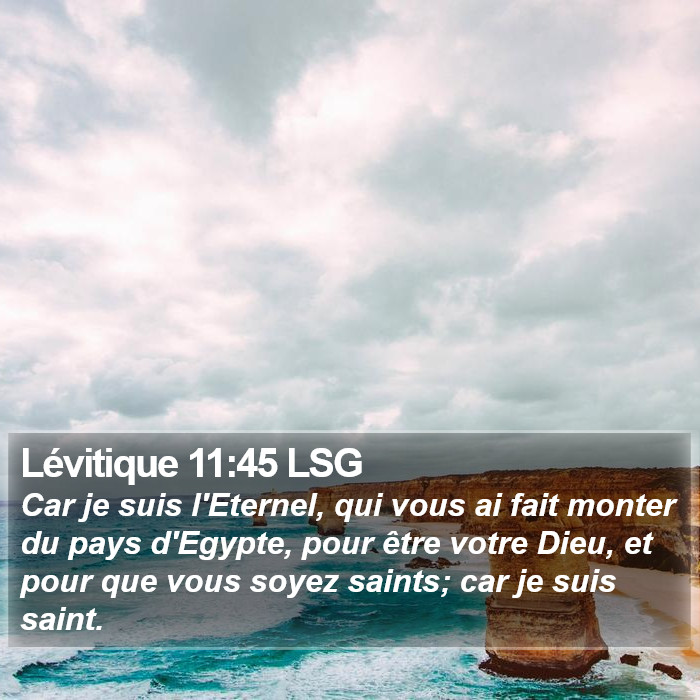 Lévitique 11:45 LSG Bible Study