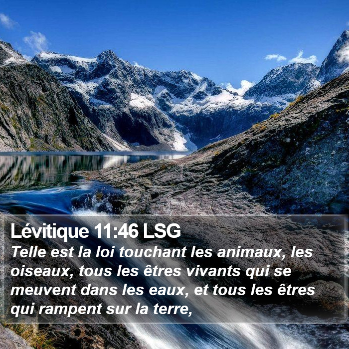 Lévitique 11:46 LSG Bible Study