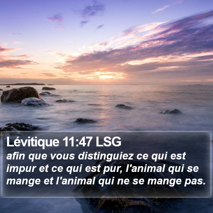 Lévitique 11:47 LSG Bible Study