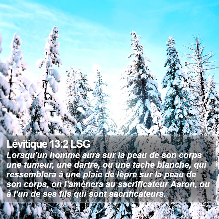 Lévitique 13:2 LSG Bible Study