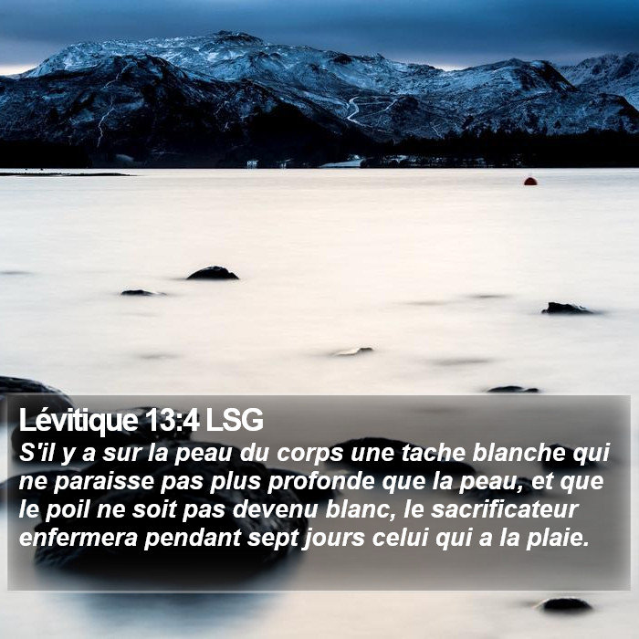 Lévitique 13:4 LSG Bible Study