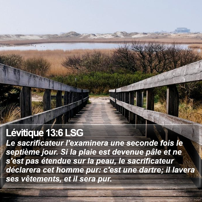 Lévitique 13:6 LSG Bible Study