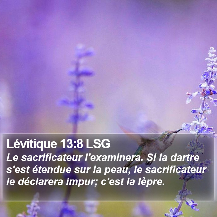 Lévitique 13:8 LSG Bible Study