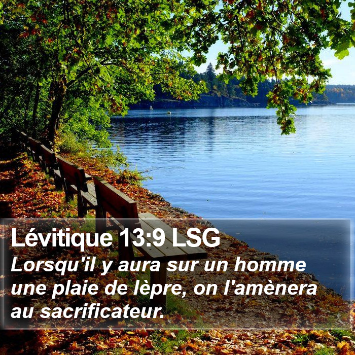 Lévitique 13:9 LSG Bible Study